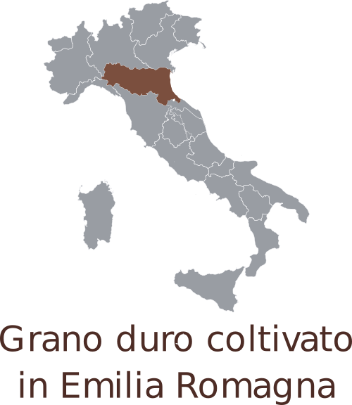 Grano duro coltivato in Emilia Romagna